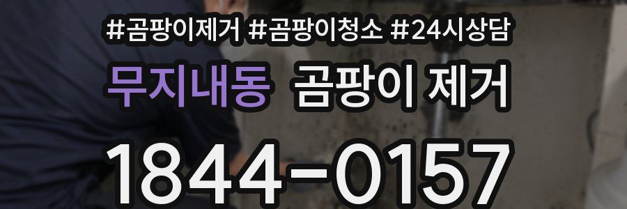 무지내동 곰팡이 제거