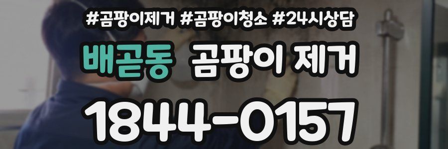 배곧동 곰팡이 제거