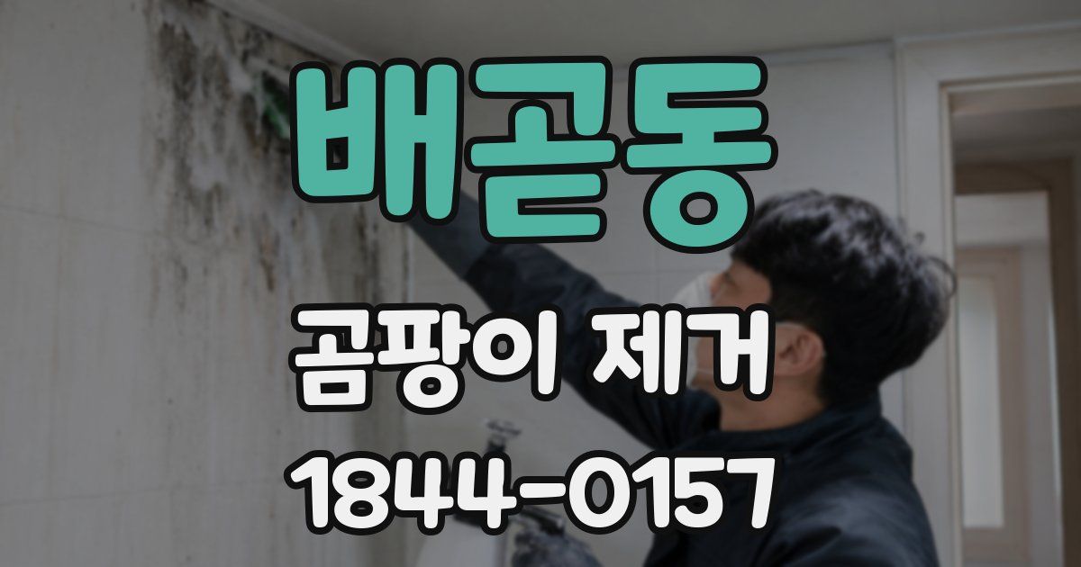 배곧동 곰팡이 제거