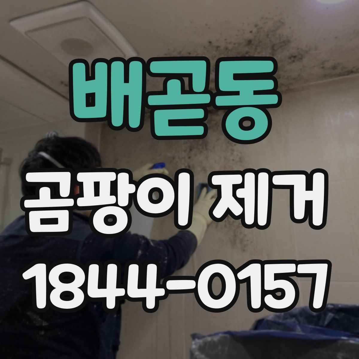 배곧동 곰팡이 제거