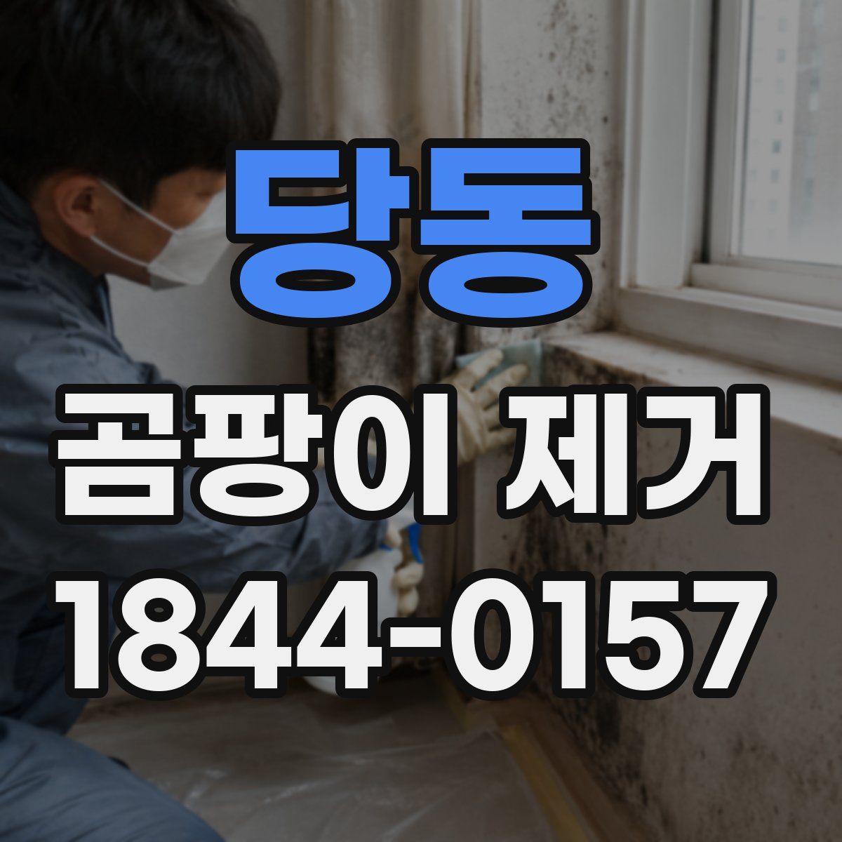 당동 곰팡이 제거