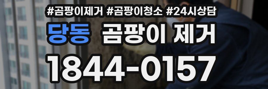 당동 곰팡이 제거