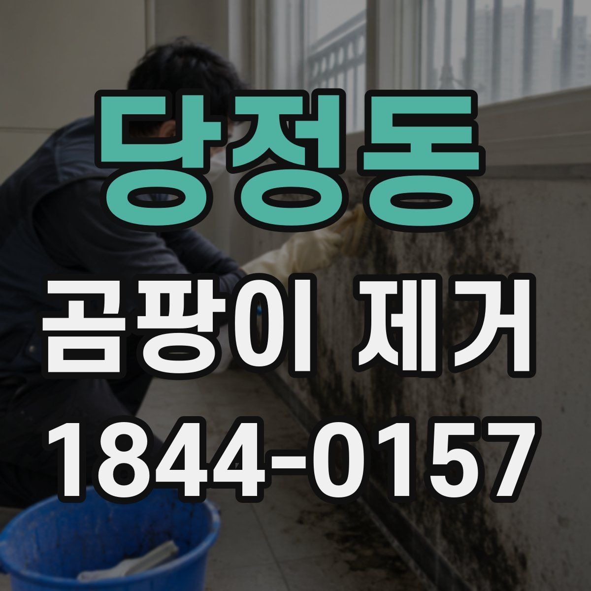 당정동 곰팡이 제거