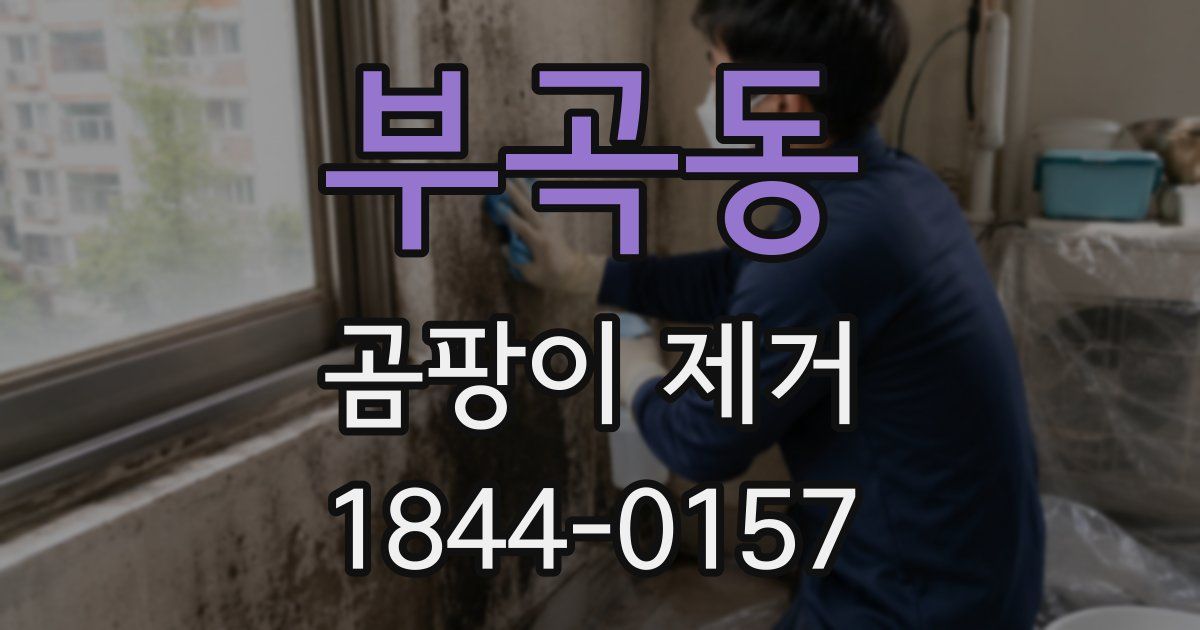 부곡동 곰팡이 제거