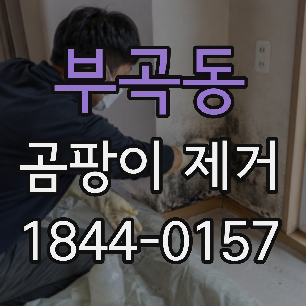 부곡동 곰팡이 제거