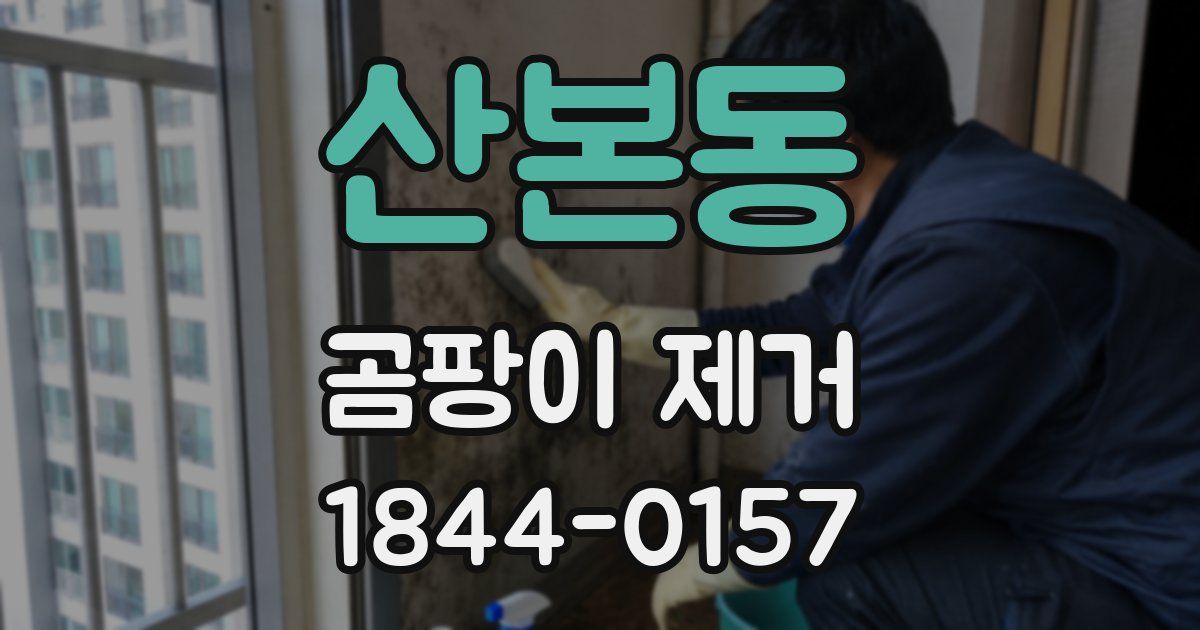 산본동 곰팡이 제거