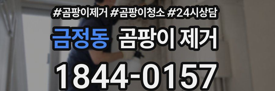 금정동 곰팡이 제거
