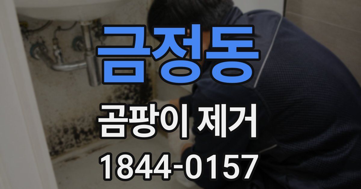 금정동 곰팡이 제거