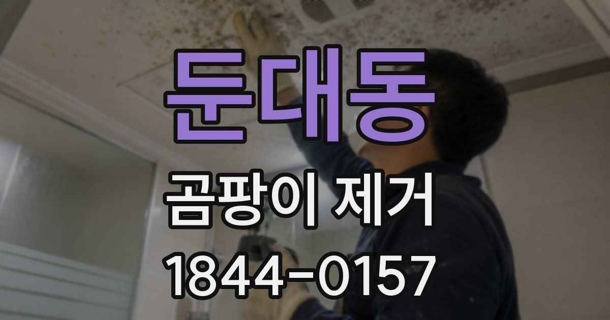 둔대동 곰팡이 제거