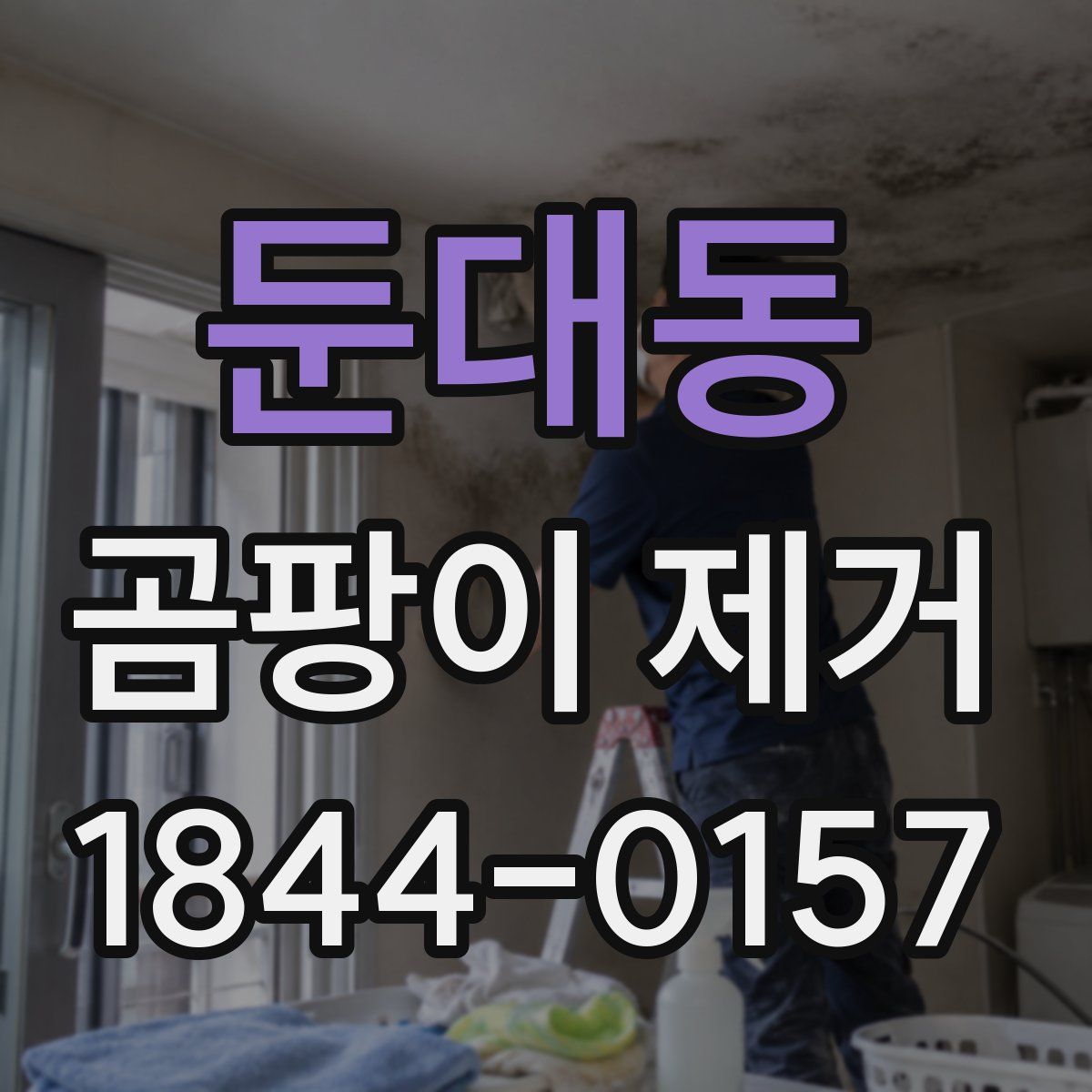 둔대동 곰팡이 제거