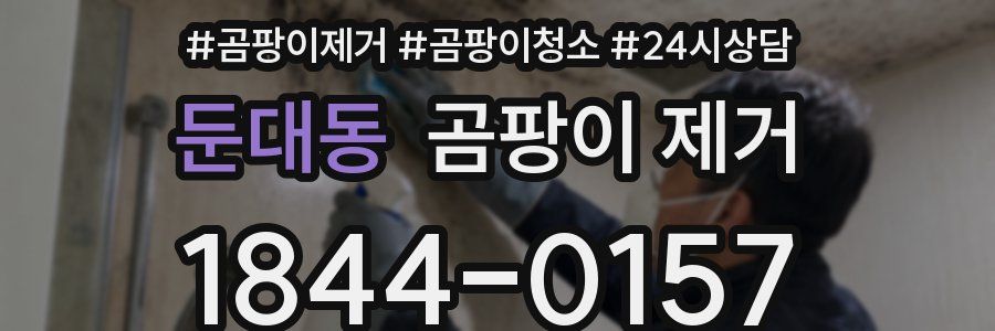 둔대동 곰팡이 제거