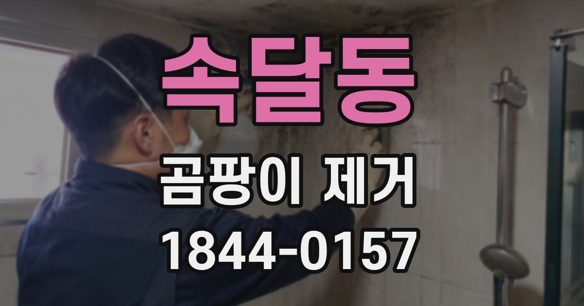 속달동 곰팡이 제거