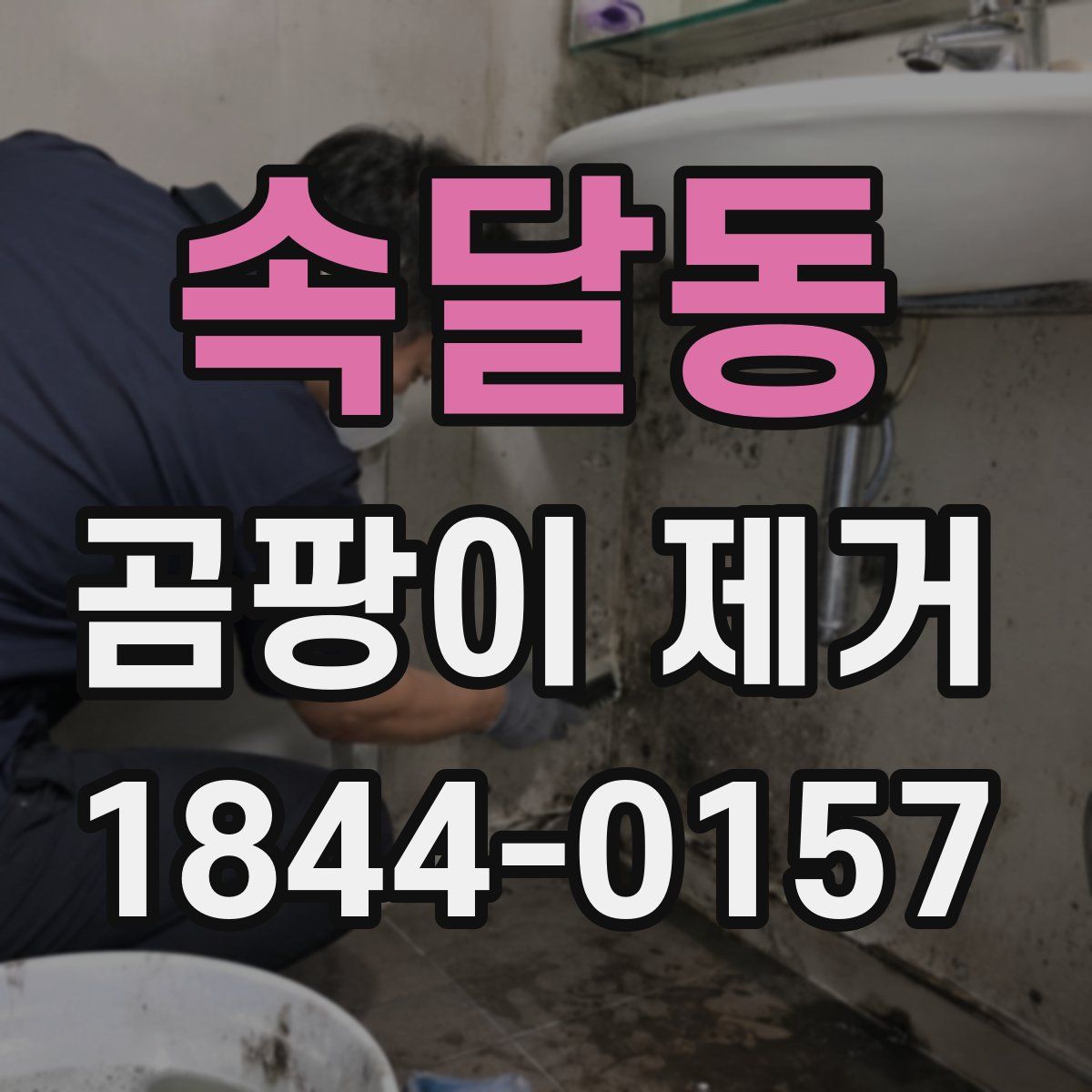 속달동 곰팡이 제거
