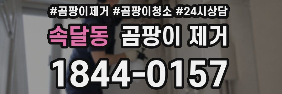 속달동 곰팡이 제거