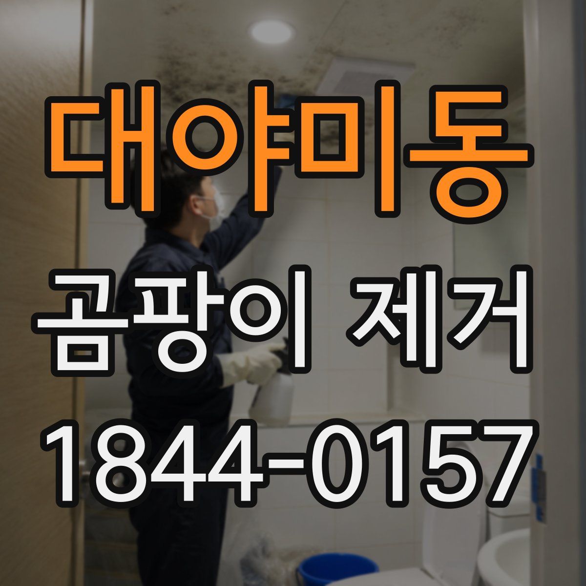 대야미동 곰팡이 제거