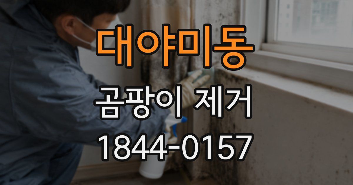 대야미동 곰팡이 제거