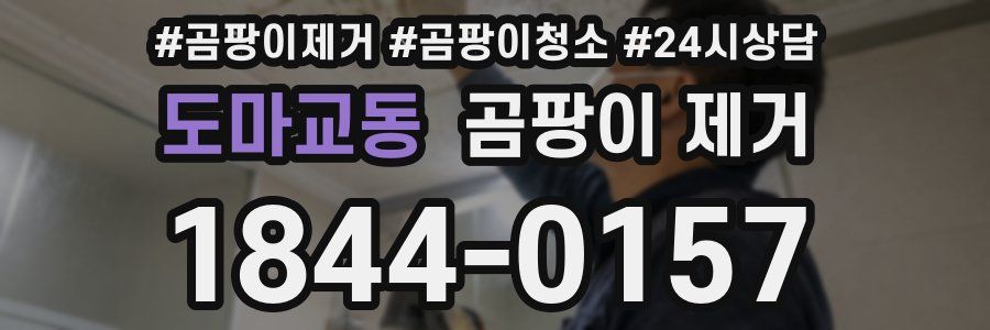 도마교동 곰팡이 제거