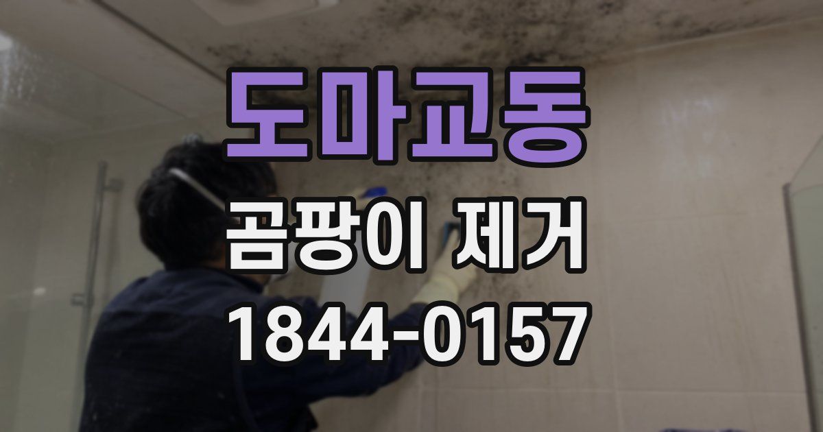 도마교동 곰팡이 제거