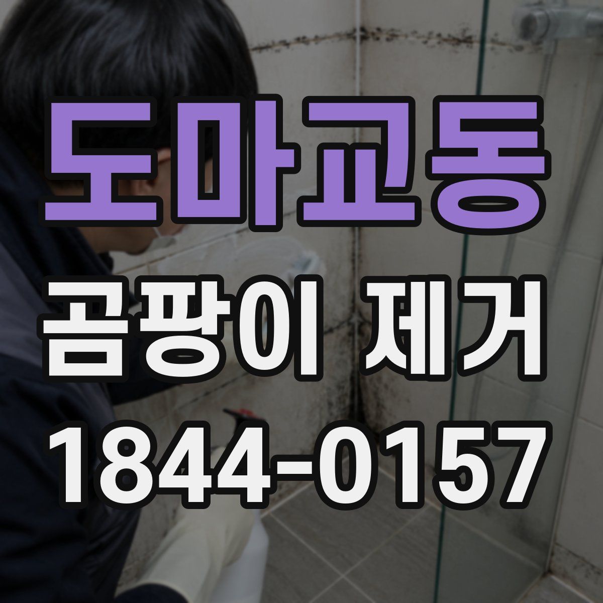 도마교동 곰팡이 제거