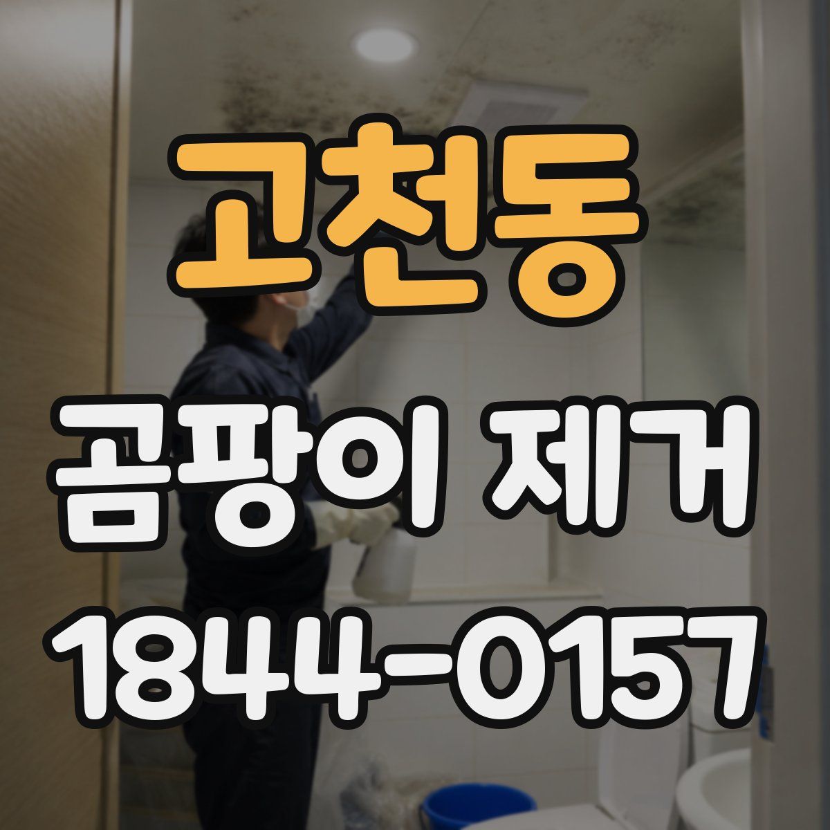 고천동 곰팡이 제거