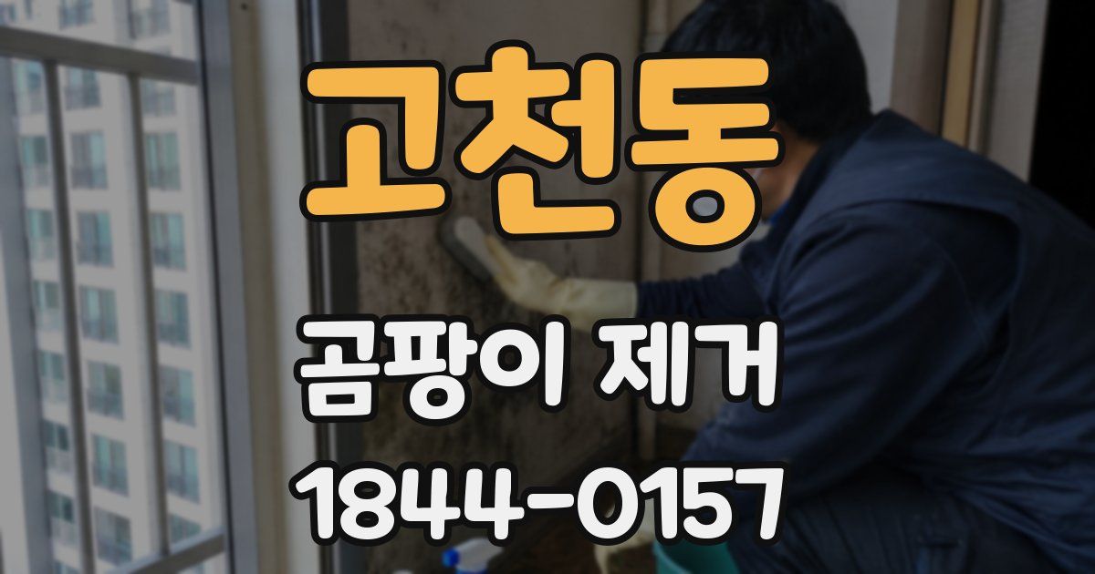 고천동 곰팡이 제거