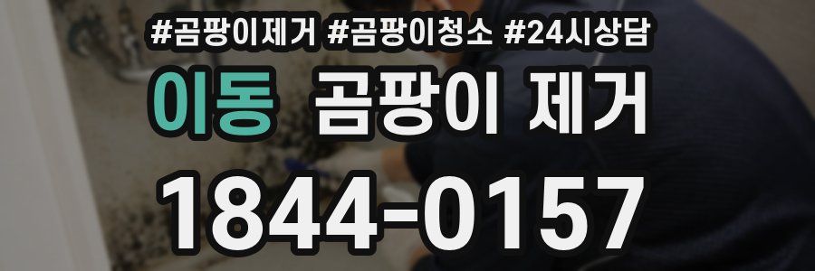 이동 곰팡이 제거