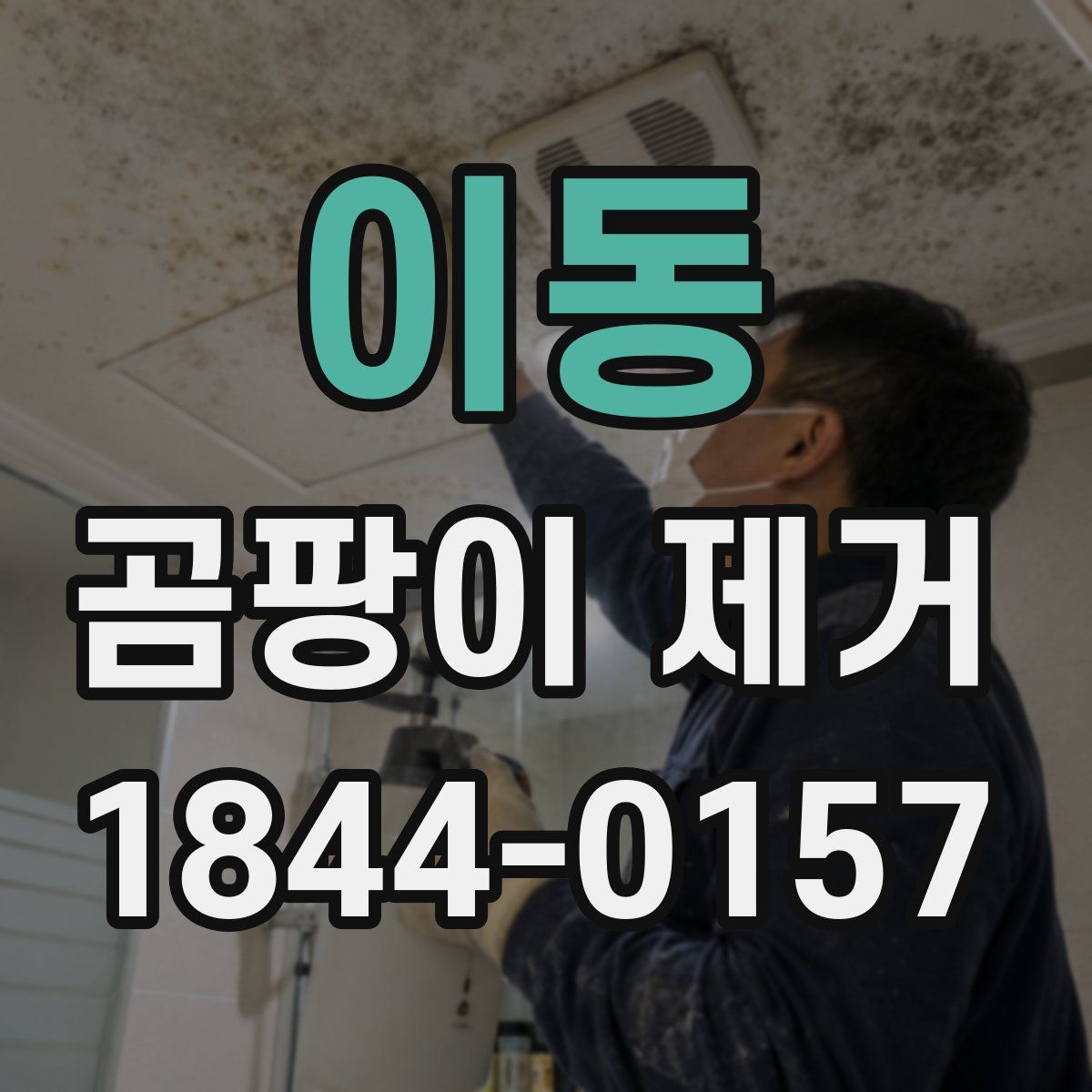 이동 곰팡이 제거
