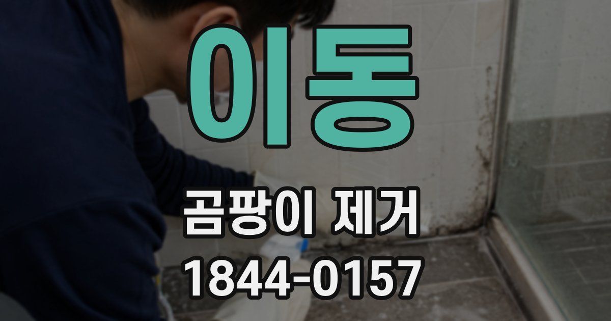 이동 곰팡이 제거