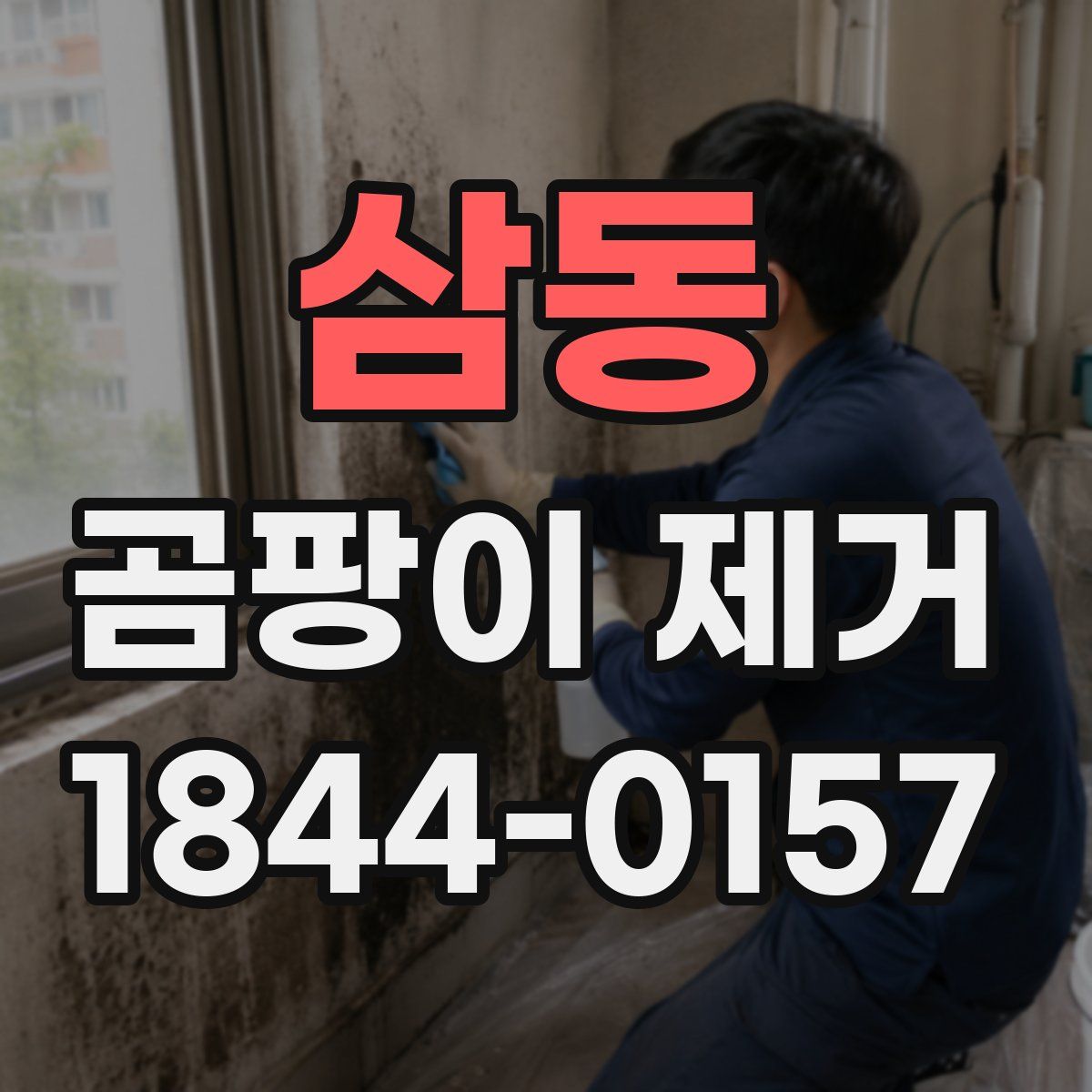 삼동 곰팡이 제거