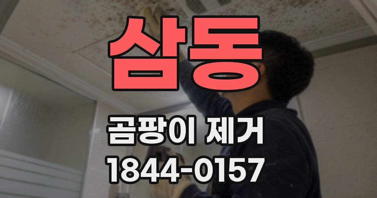 삼동 곰팡이 제거