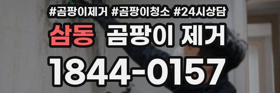 삼동 곰팡이 제거