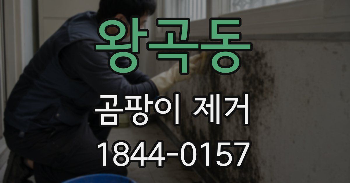 왕곡동 곰팡이 제거