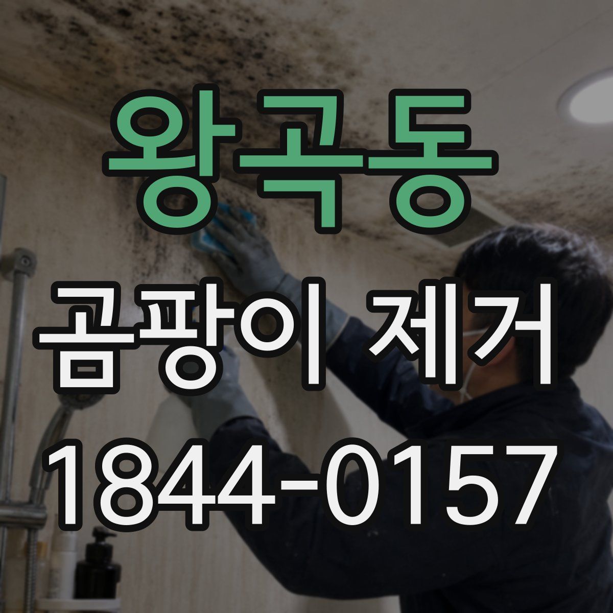 왕곡동 곰팡이 제거