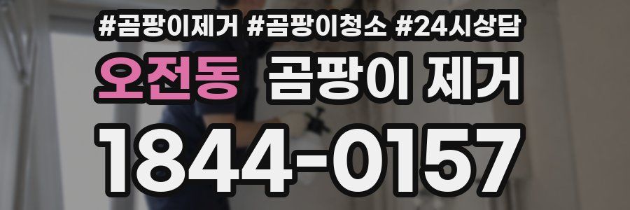 오전동 곰팡이 제거