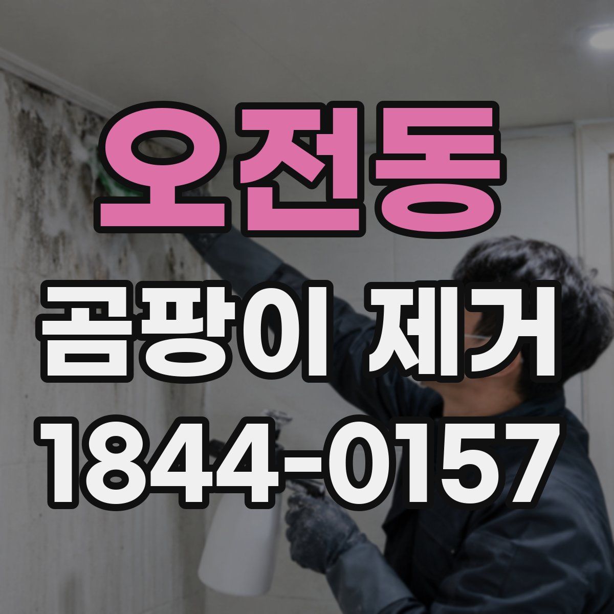 오전동 곰팡이 제거
