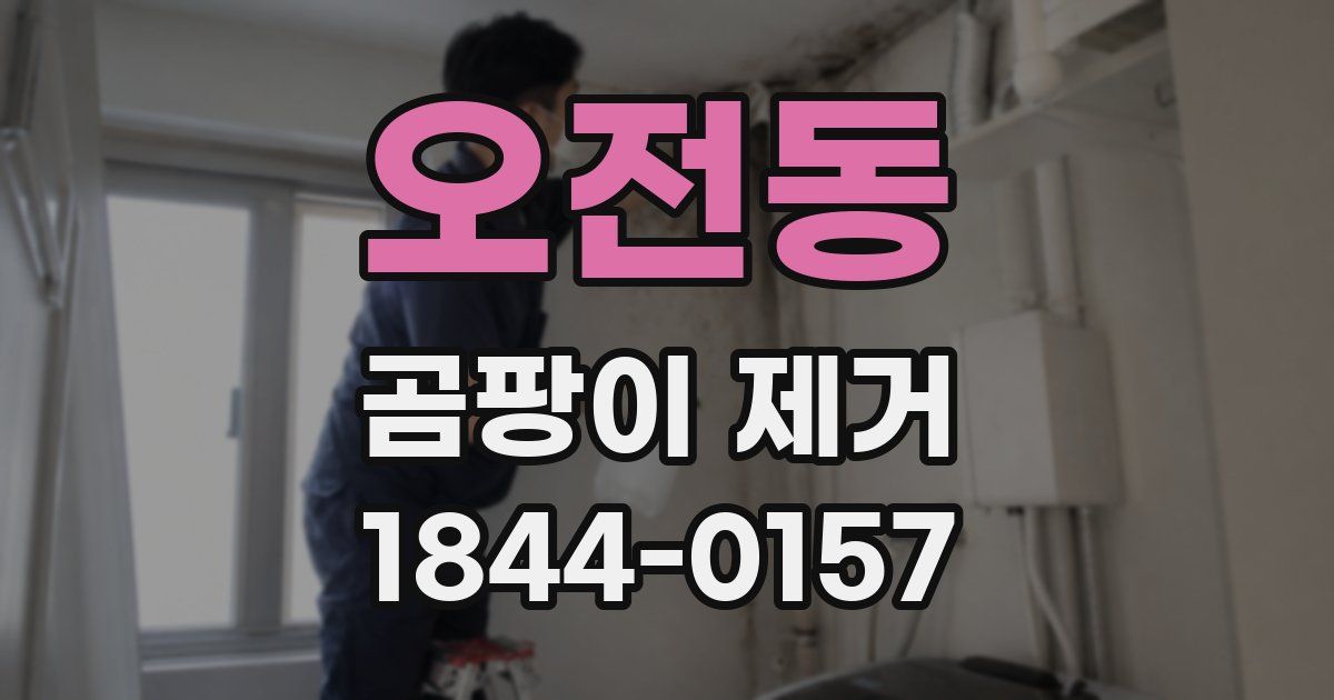 오전동 곰팡이 제거