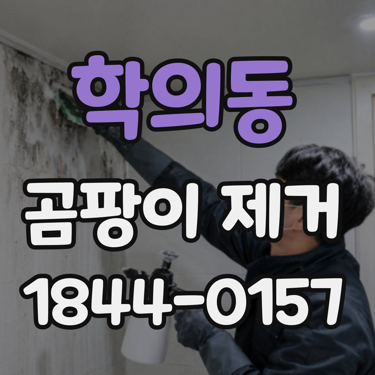 학의동 곰팡이 제거