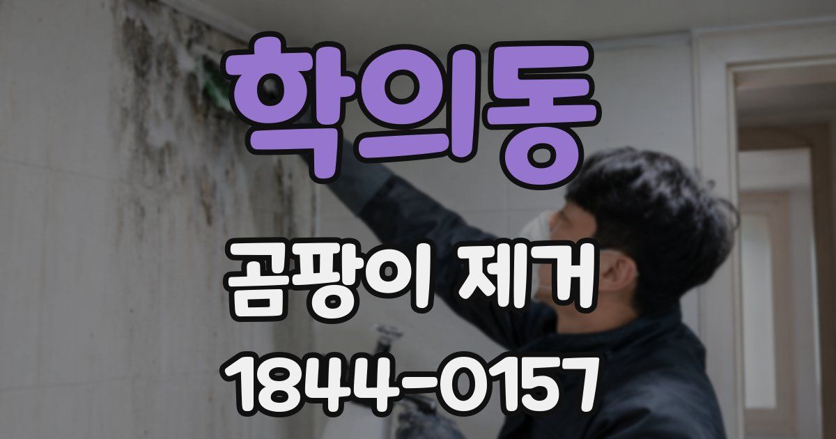 학의동 곰팡이 제거