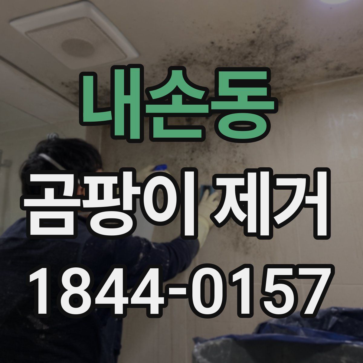 내손동 곰팡이 제거