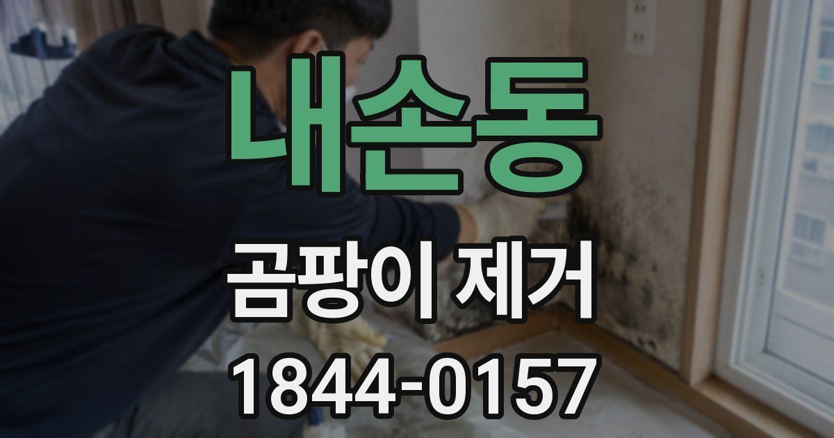 내손동 곰팡이 제거