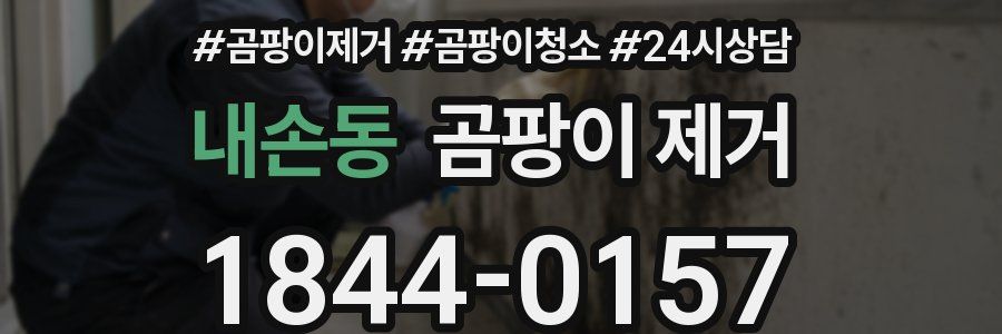 내손동 곰팡이 제거