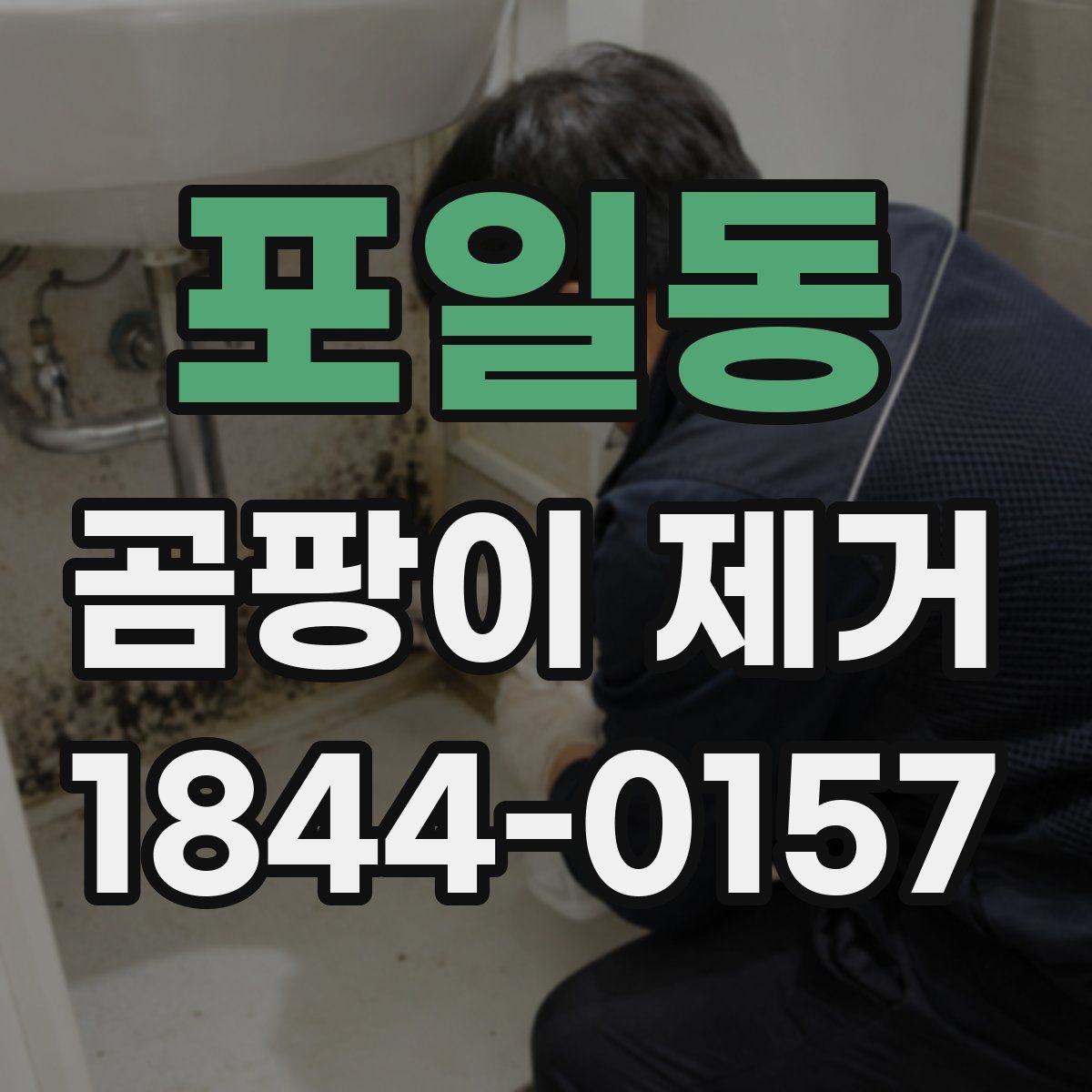 포일동 곰팡이 제거