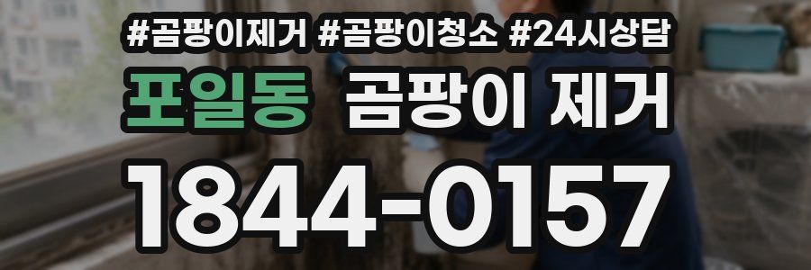 포일동 곰팡이 제거