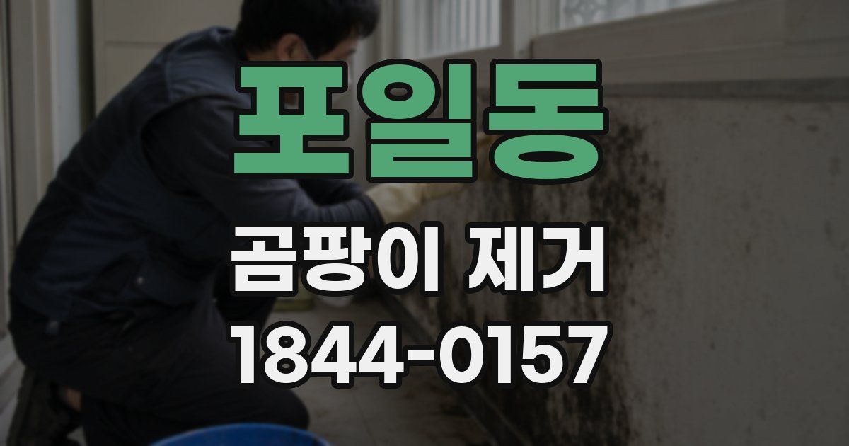 포일동 곰팡이 제거