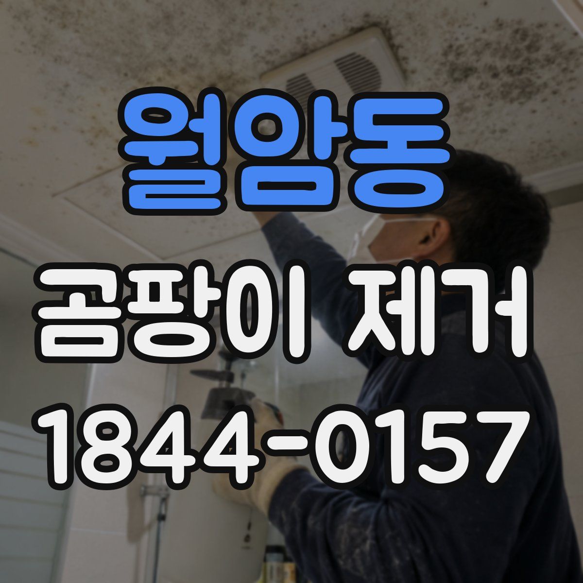 월암동 곰팡이 제거