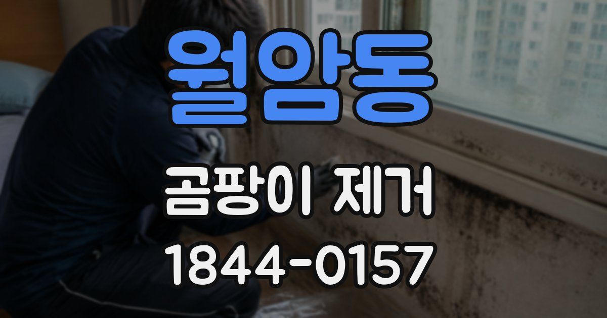 월암동 곰팡이 제거