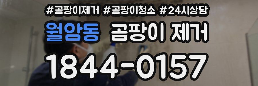월암동 곰팡이 제거