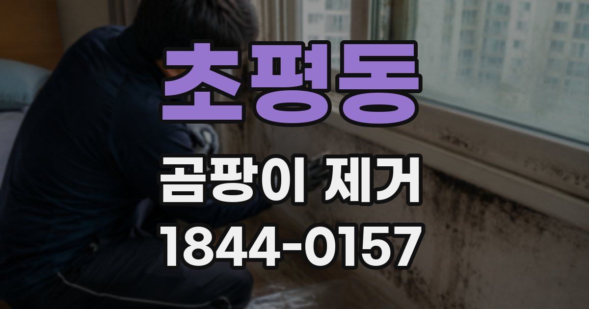 초평동 곰팡이 제거