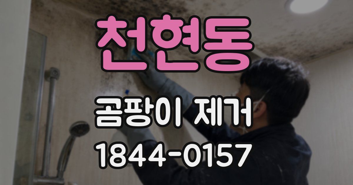 천현동 곰팡이 제거