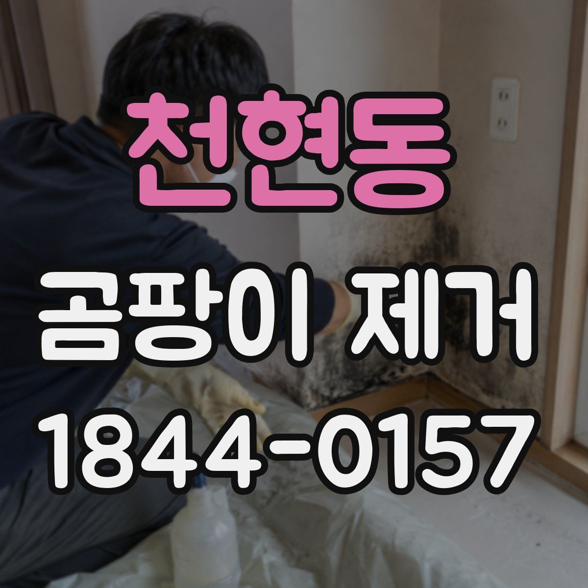천현동 곰팡이 제거
